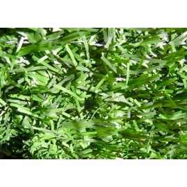 SETO ARTIFICIAL 40 VARILLAS  1.5 x 3 metros 2