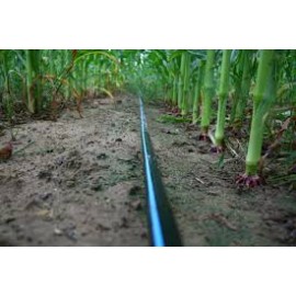 CINTA DE RIEGO POR GOTEO DE 8000 GALGAS A 0,20 DE DISTANCIA 2