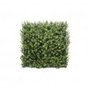 JARDÍN VERTICAL BUXUS (1m2)