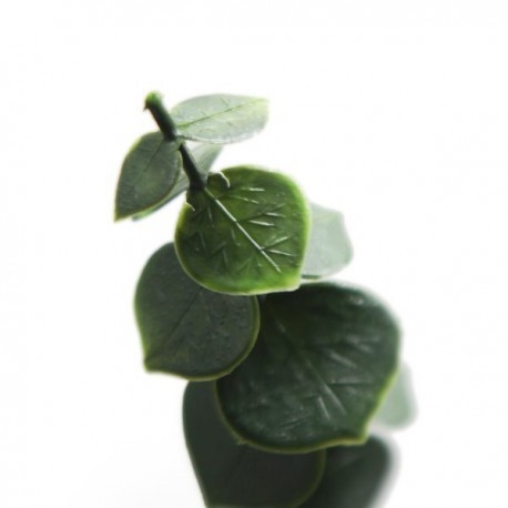 JARDÍN VERTICAL EUCALIPTO  (1m2)