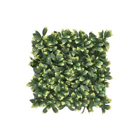 JARDÍN VERTICAL  LAUREL   (1m2)