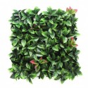 JARDÍN VERTICAL  PHOTINIA ROJO  (1m2)