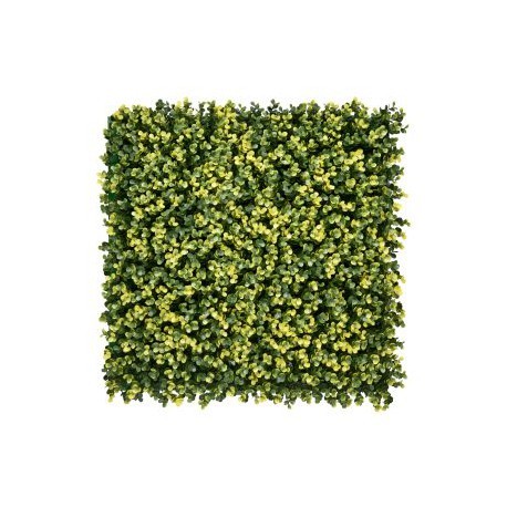 JARDÍN VERTICAL  SINICA AMARILLO  (1m2)