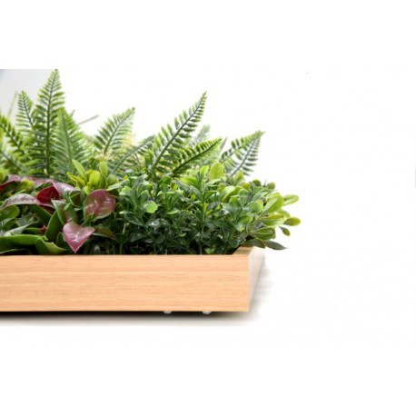 JARDÍN VERTICAL MALDIVAS EXTRA 50CMX50CM