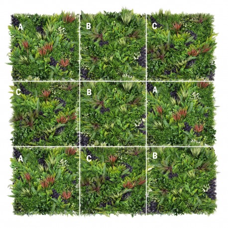 JARDÍN VERTICAL AMAZONAS (A+B+C)