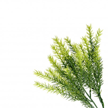 RAMO ARTIFICIAL ROMERO