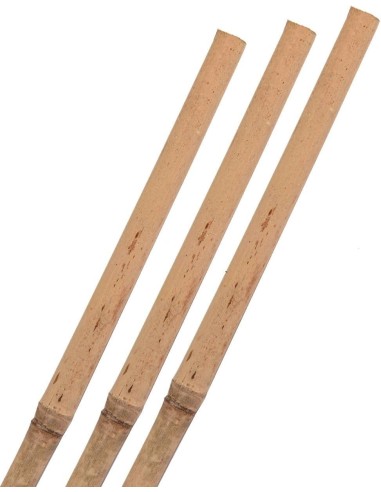 BALA DE TUTOR DE BAMBU