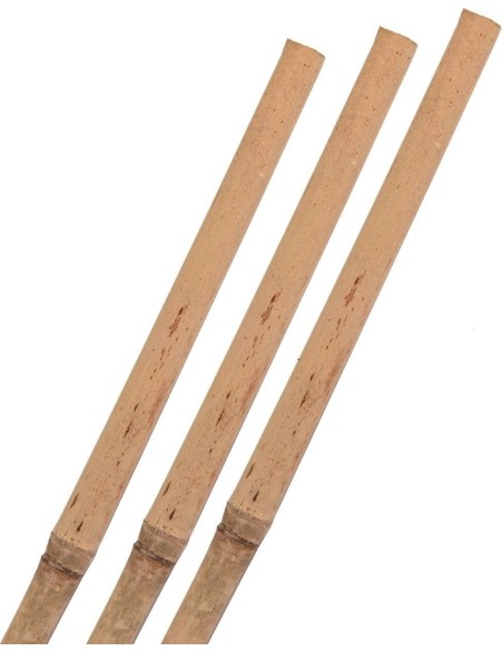 BALA DE TUTOR DE BAMBU