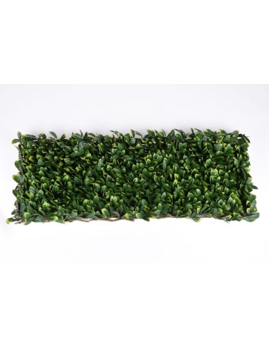 CELOSIA EXTENSIBLE DE MIMBRE Y HOJAS DE LAUREL