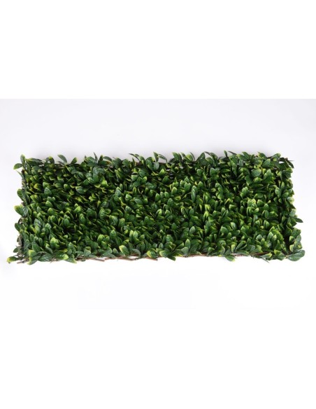 CELOSIA EXTENSIBLE DE MIMBRE Y HOJAS DE LAUREL