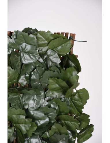 CELOSIA EXTENSIBLE DE MIMBRE