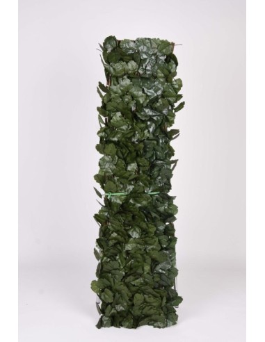 CELOSIA EXTENSIBLE DE MIMBRE