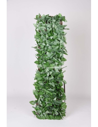 CELOSIA EXTENSIBLE DE MIMBRE NATURAL