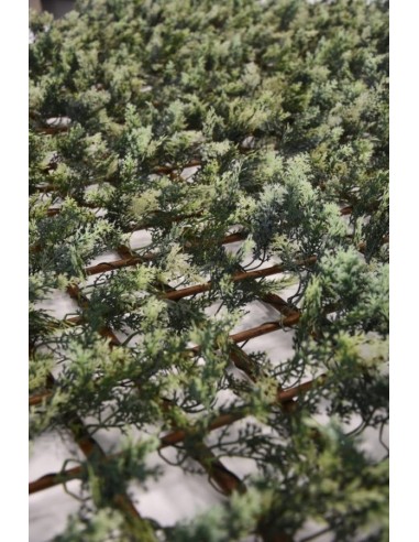 CELOSIA EXTENSIBLE DE MIMBRE NATURAL