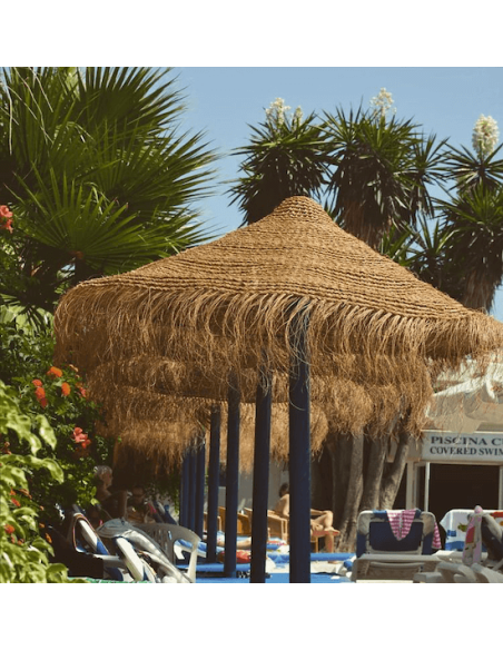 SOMBRILLAS DE BREZO ECONOMICAS