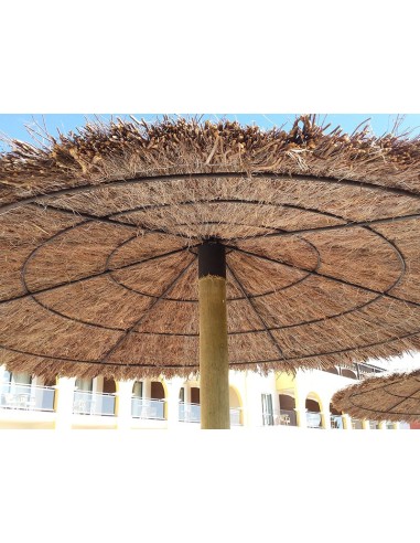 SOMBRILLAS DE BREZO ECONOMICAS