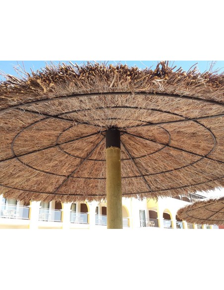 SOMBRILLAS DE BREZO ECONOMICAS