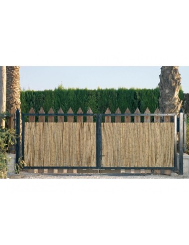 BAMBU NATURAL  PARA VALLAS