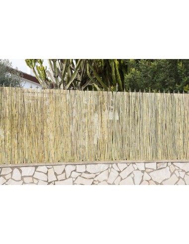 BAMBU NATURAL  PARA VALLAS