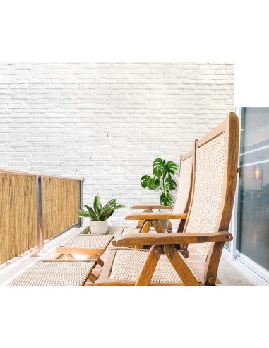 CAÑIZO ENTERO NACIONAL