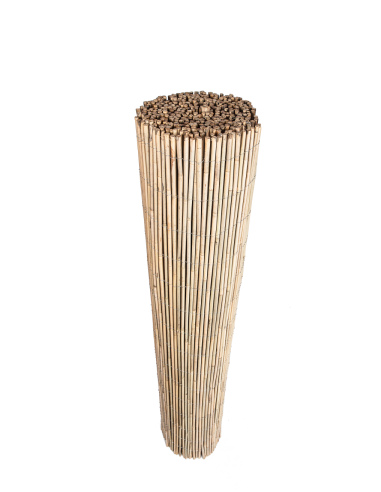 cañizos de bambu entero nacional