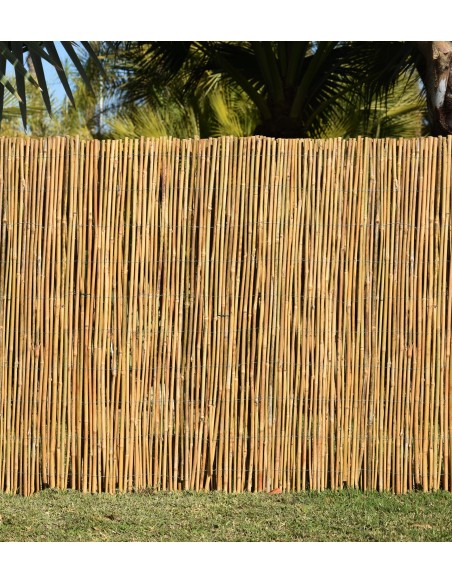 cañizos de bambu entero nacional