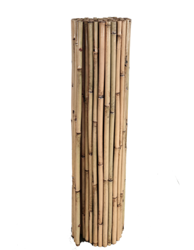 CAÑIZOS DE BAMBU BARNIZADOS ECONOMICOS