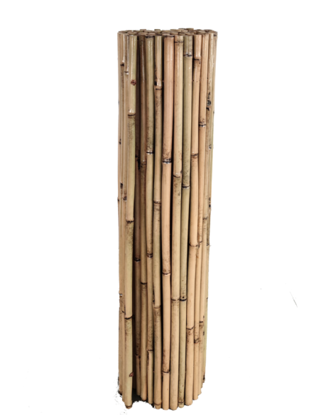 CAÑIZOS DE BAMBU BARNIZADOS ECONOMICOS