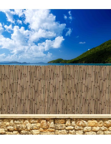 CAÑIZOS DE BAMBU BARNIZADOS ECONOMICOS