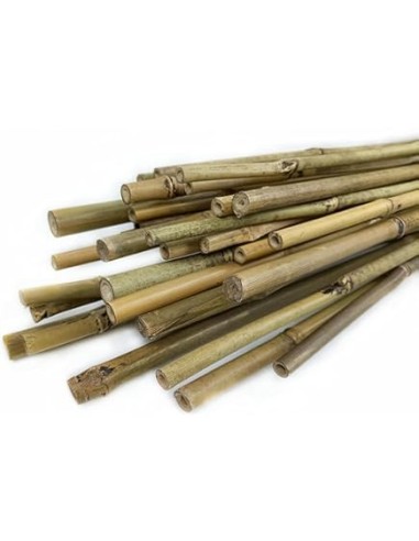 BALA DE TUTOR BAMBU PARA CULTIVOS. VARIAS MEDIDAS
