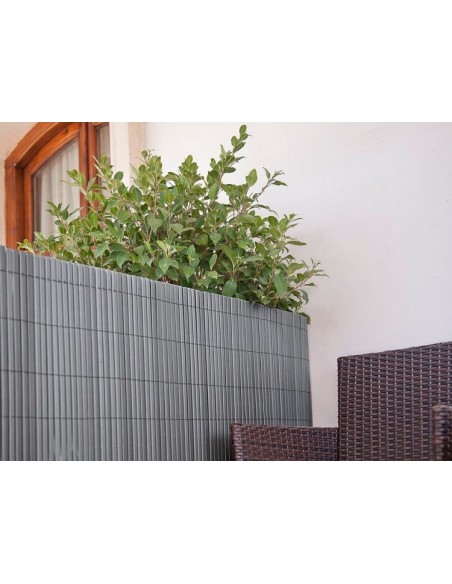 CAÑIZO PARA EL JARDIN