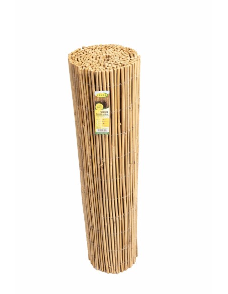 BAMBU NACIONAL FAURA