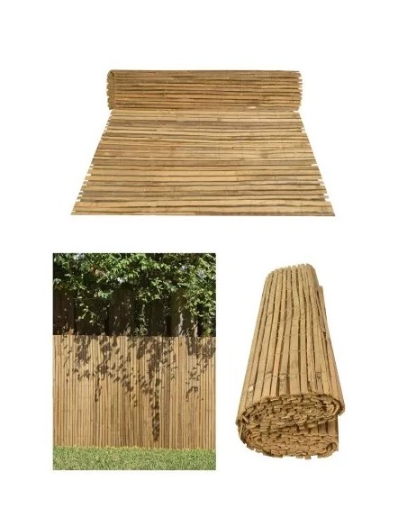 BAMBU BARATO BAMBU BARATO