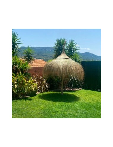 sombrillas de playa de catrixt