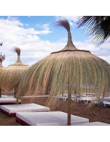 sombrillas de playa de catrixt