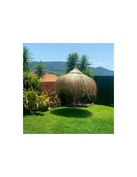 sombrillas de playa de catrixt