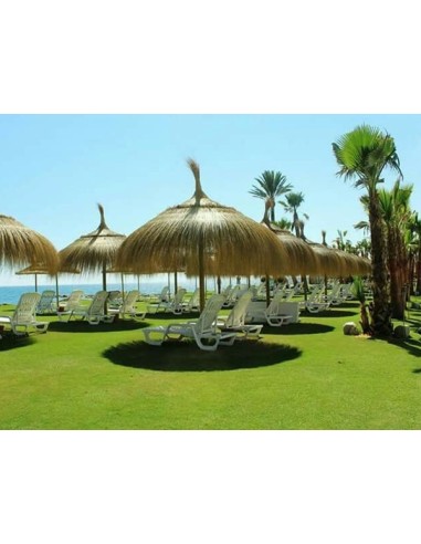 sombrillas de playa de catrixt