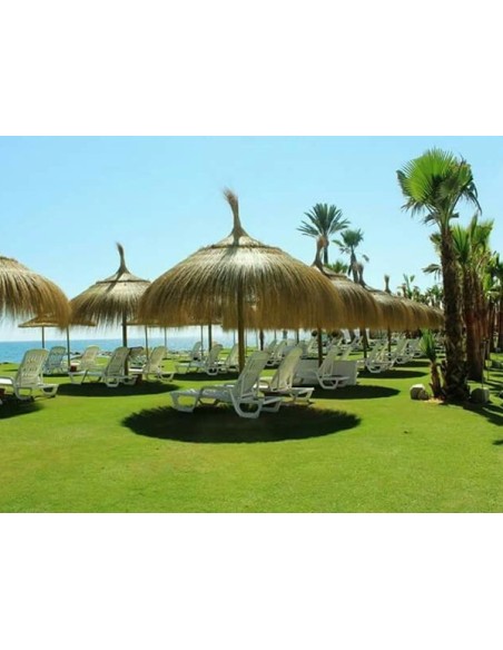 sombrillas de playa de catrixt