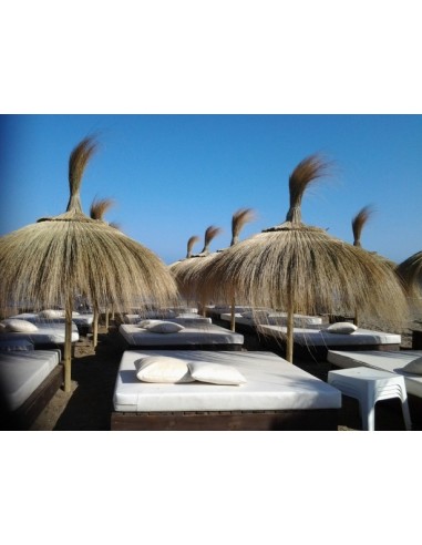 sombrillas de playa de catrixt