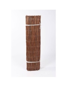 MIMBRE DE HELECHO ASIATICO MARCA FAURA 2