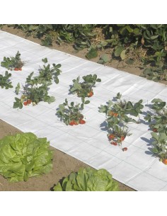 MALLA ANTIHIERBA COLOR BLANCO POR METRO LINEAL ( ALTO 2 METROS) FABRICACION EUROPEA 2