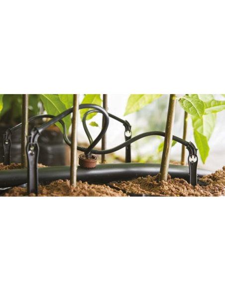 BLACK SPIDER | Sistema de riego con microtubo 3×5 mm